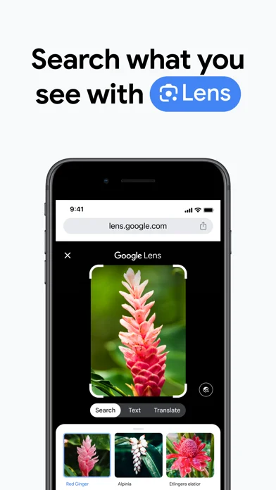 Google Chrome — Use your voice to search hands-free