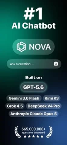 AI Chatbot - Nova — Search the web for real-time information