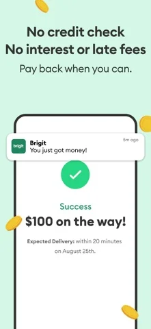 Brigit: Cash Advance & Credit — Track income and spending
