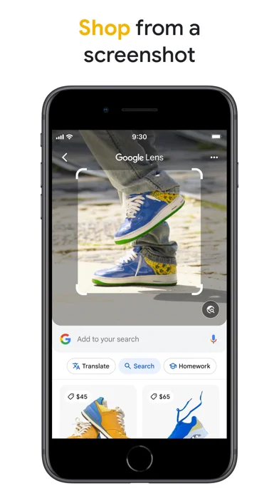 Google — Shop from products found in screenshots