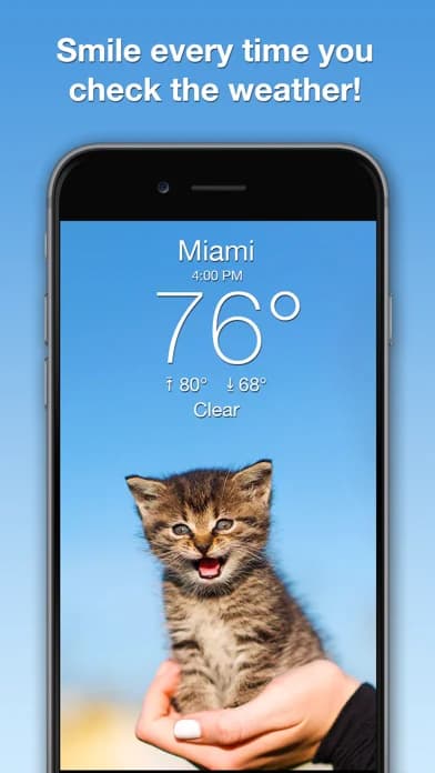 Weather Kitty: Weather + Radar — Share your kitten with friends on Facebook