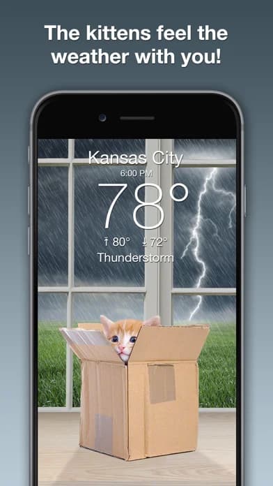 Weather Kitty: Weather + Radar — Use photos of your cat to create your own theme (premium add-on)